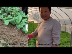 Agricultural Bacillus Velezensis Fertilizer Liquid For Plants