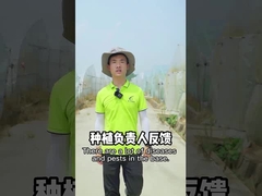 殺虫剤のSeNPVの野菜有機性緑の野菜生物的殺虫剤はキラー昆虫の庭いじりをする