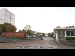 ウーハンUnioasisの生物的技術の会社の紹介