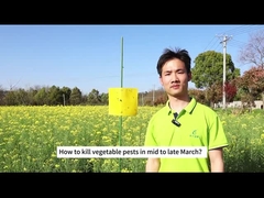 農産物 バイオ 虫剤 カブス 毛虫 ダイヤモンド 鼻虫 幼虫 生物 農薬