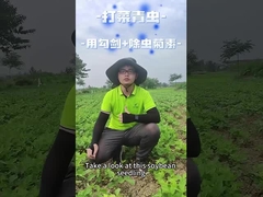生物的殺虫剤