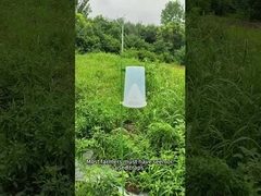 害虫の罠 昆虫の罠 ビート 軍 ワーム 玉ねぎ カブス ワーム ブロッコリー の 罠