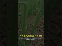 バシルス 胞子 と バキュロウイルス の 組み合わせ は,レピドプテリア の 害虫 を より よく 制御 する