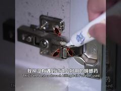 生物殺虫剤 成虫 ゴキブリ 幼虫 卵 駆除 ベイトジェル ゴキブリ駆除