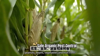 健康な作物のための有機害虫駆除