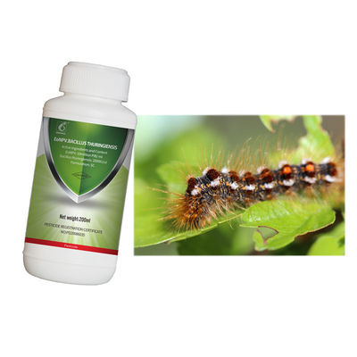 Organic tea safe insecticide EoNPV bacillus thuringiensis for tea geometrid killing 