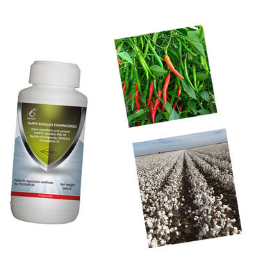 Strong selectivity insecticide HaNPV bacillus thuringiensis for cotton pepper tobacco pest killing