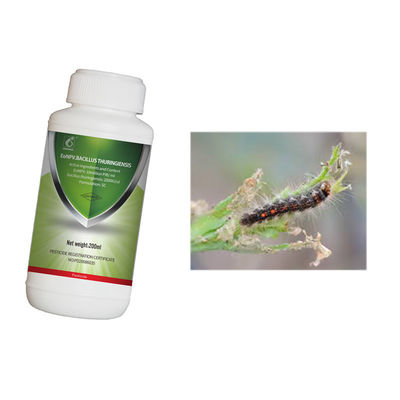 Organic tea safe insecticide EoNPV bacillus thuringiensis for tea geometrid killing 