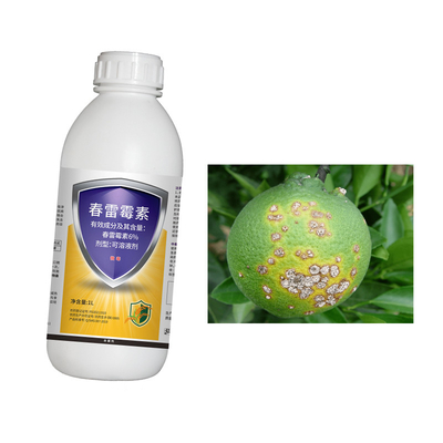 Agricultural Fungicide Soft Rot Bacterial Canker Rice Blast Disease Treatment 6% Kasugamycin 