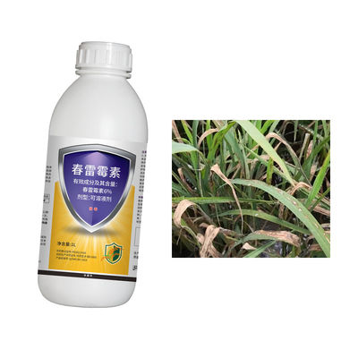 Pesticide 6% Kasugamycin Manage Farm Citrus Bacterial Canker Rice Blast Soft Rot Disease