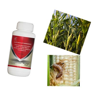 Natural bioinsecticide for maize crops with SeNPV+Bt active ingredient and 20g per 15L water application rate, certified organic