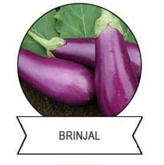 Insect Killer Pesticide Insecticide for Cauliflower Broccoli Cabbage Purple Cabbage Plutella Xylostella 