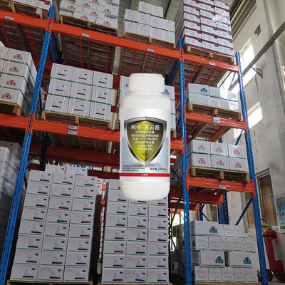 Chili pepper pests helicoverpa assulta oriental tobacco budworm killer wholesale bio pesticide 