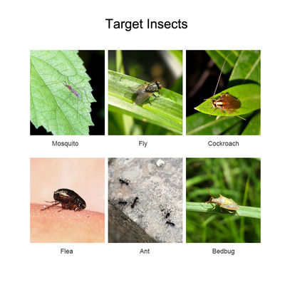 1.5% Pyrethrin Insect Effectively Control Achieve Pest Elimiation Mosquito Killer