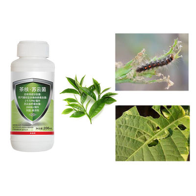 EoNPV Tea Geometer Pesticide Ectropis Obliqua Harmless to Human Beings and Animals