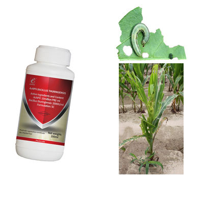 Spray for Vegetable Fruit Plants Biological Maize Crop Best Pesticides AcNPV Killing Agriculture Pests